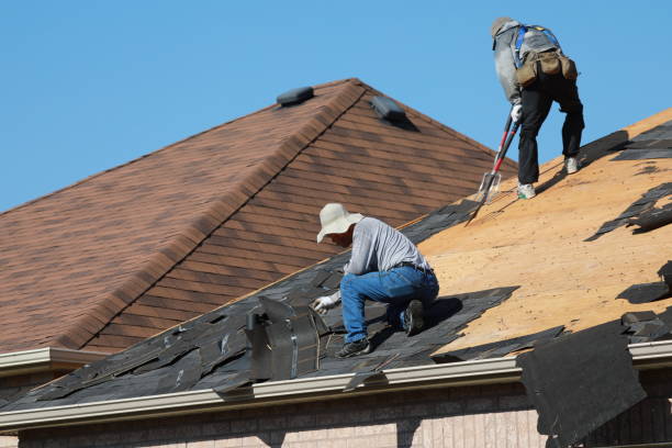 Best Roof Maintenance and Cleaning  in East Grand Forks, MN